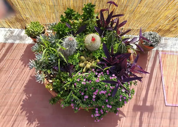 La Terrazza Near The Bed & Breakfast 4*