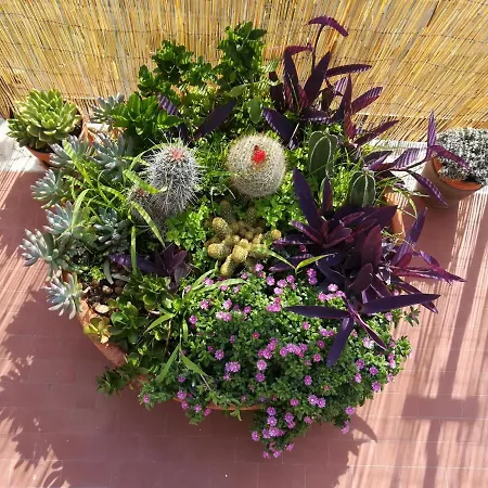 La Terrazza Near The Bed & Breakfast 3*